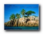2009年7月热带椰林风景月历