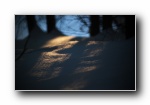 冬日摄影高清宽屏壁纸 2560x1600