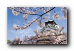 日本风光风景摄影Bing主题宽屏壁(共10276次)