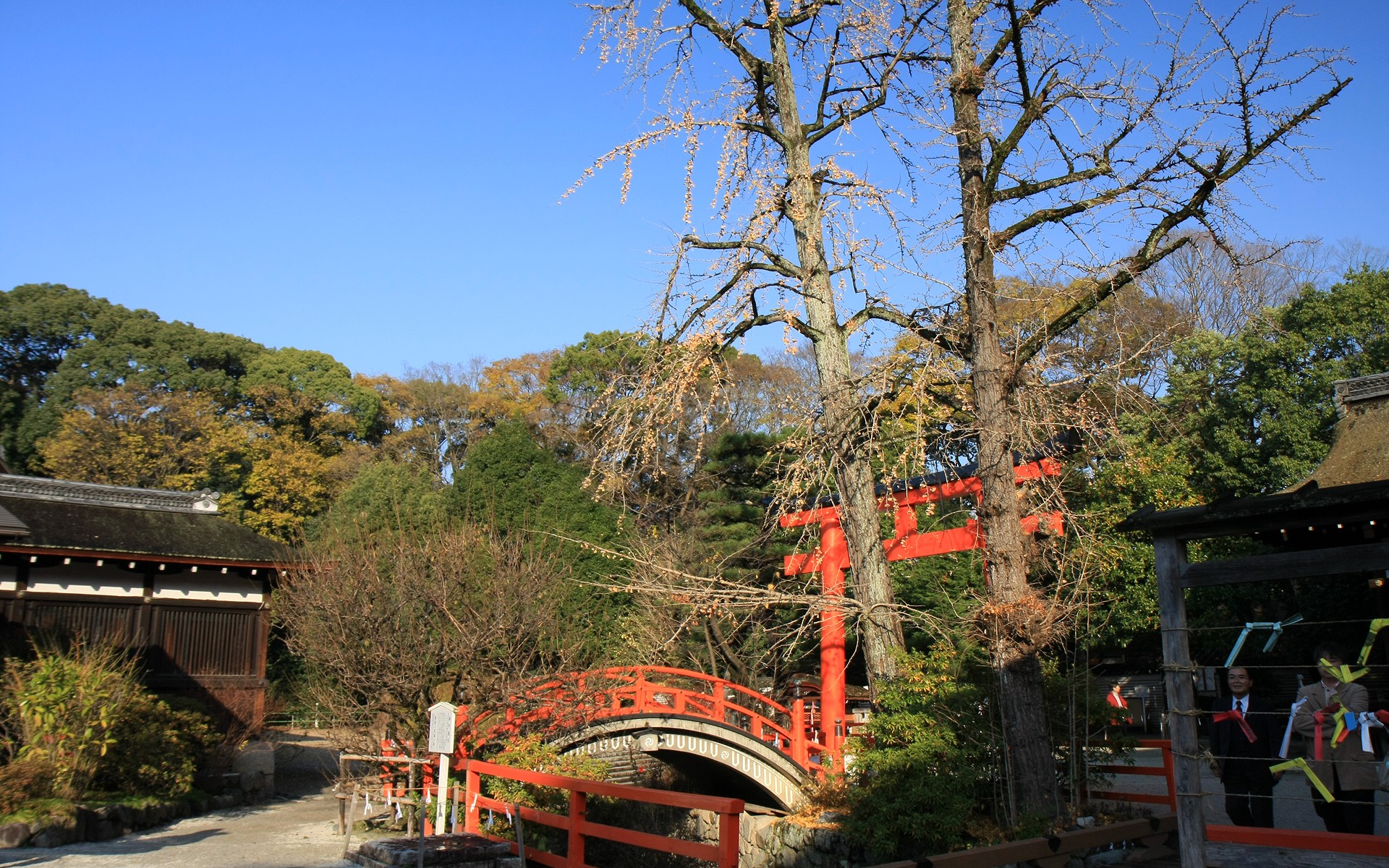 日本京都下鸭神社的红叶宽屏壁纸 我爱桌面网提供