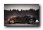 Bugatti Veyron Grand Sport Bernar Venet 2012（数字特别版）