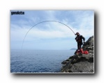 Gamakatsu 伽玛卡兹 钓竿渔具广告壁纸